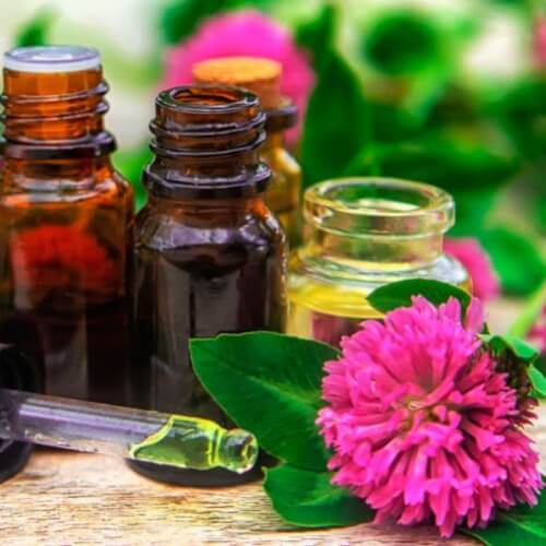 ¿Qué son los aceites esenciales? sus beneficios y propiedades